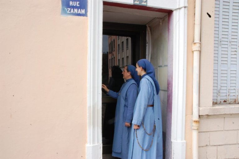 DSC 0377 1024x681 1 768x511