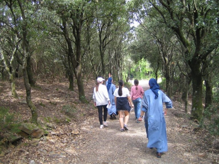 IMG 0567 1024x768 1 768x576