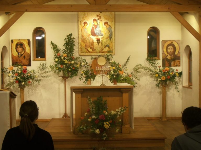 P6020037 1024x768 1 768x576